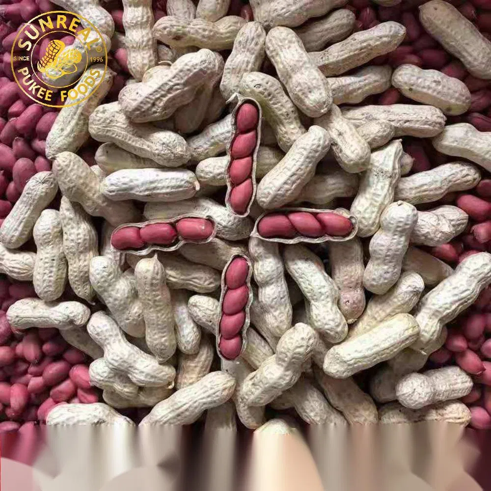 Red Skin/Raw Peanut in Shell/Sunreal/Best Color