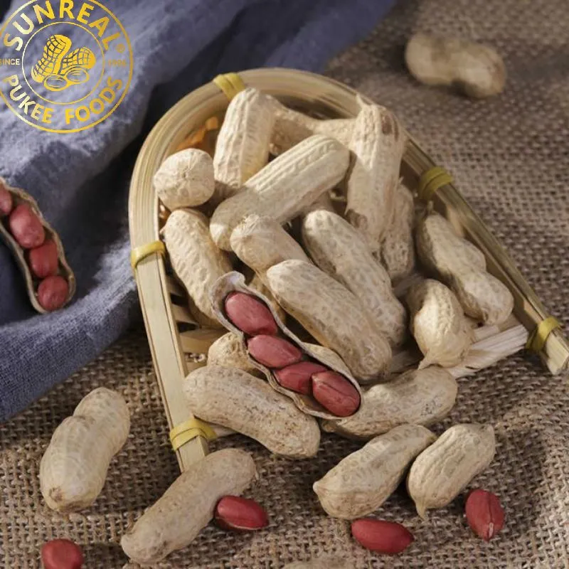 Red Skin/Raw Peanut in Shell/Sunreal/Best Color