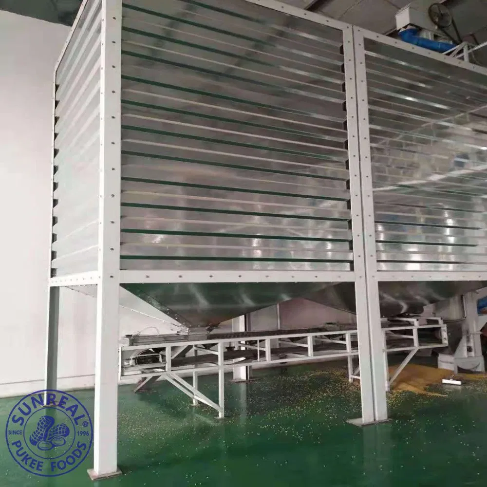 Red Skin/Raw Peanut in Shell/Sunreal/Best Color