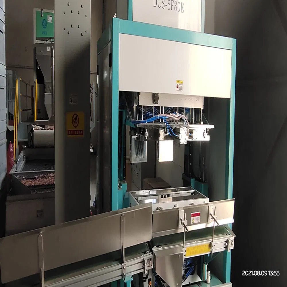 Red Skin/Raw Peanut in Shell/Sunreal/Best Color