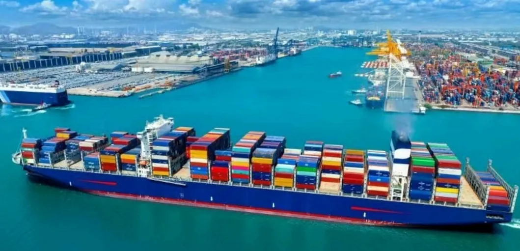 Red Skin/Raw Peanut in Shell/Sunreal/Best Color