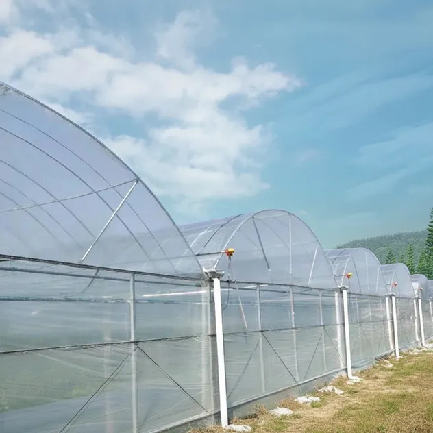 Sturdy Multi-Span Film Greenhouse for Year-Round Agricultural Use