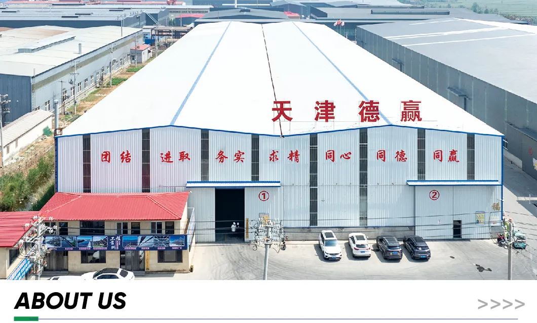 Sturdy Multi-Span Film Greenhouse for Year-Round Agricultural Use