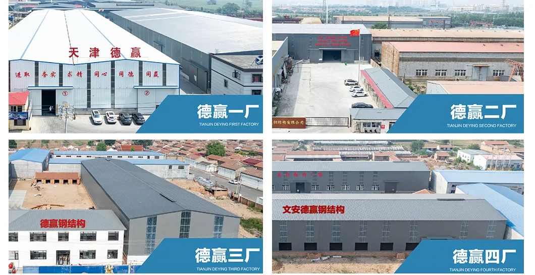 Sturdy Multi-Span Film Greenhouse for Year-Round Agricultural Use