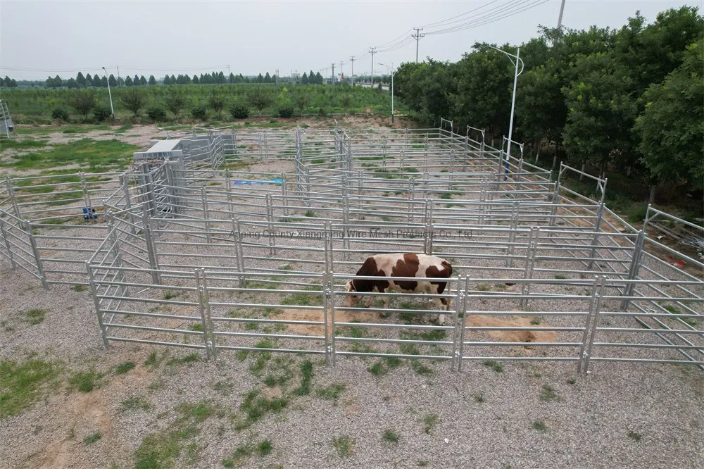 Cheap Livestock Shed Cattle Pen