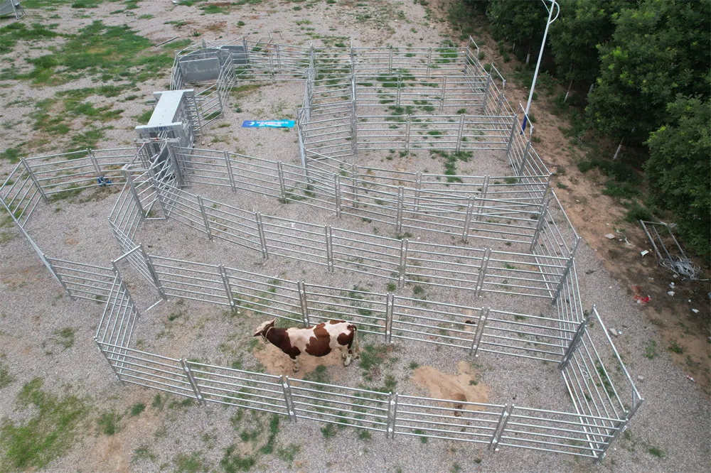 Cheap Livestock Shed Cattle Pen
