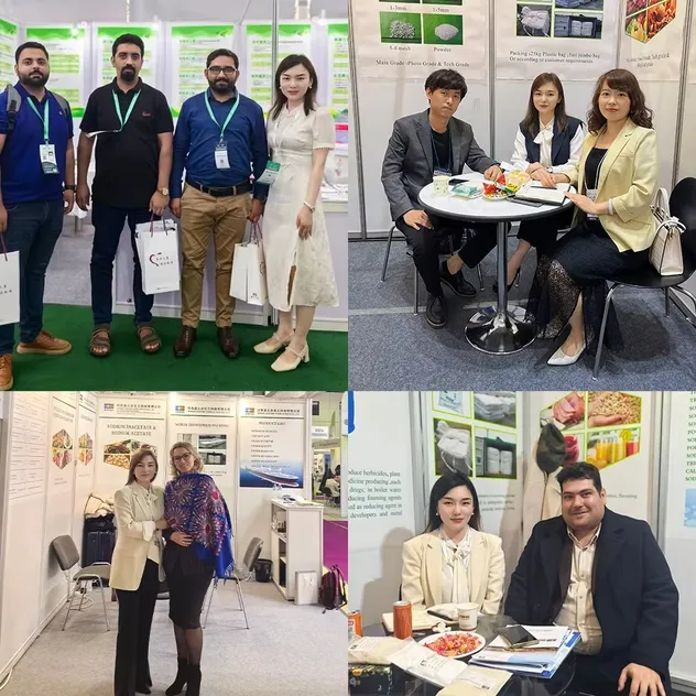 Factory Price High Quality Bulk Food Ingredient Bakery Additives Dough Raising Agent E336 CAS 868-14-4 Potassium Bitartrate Cream of Tartar