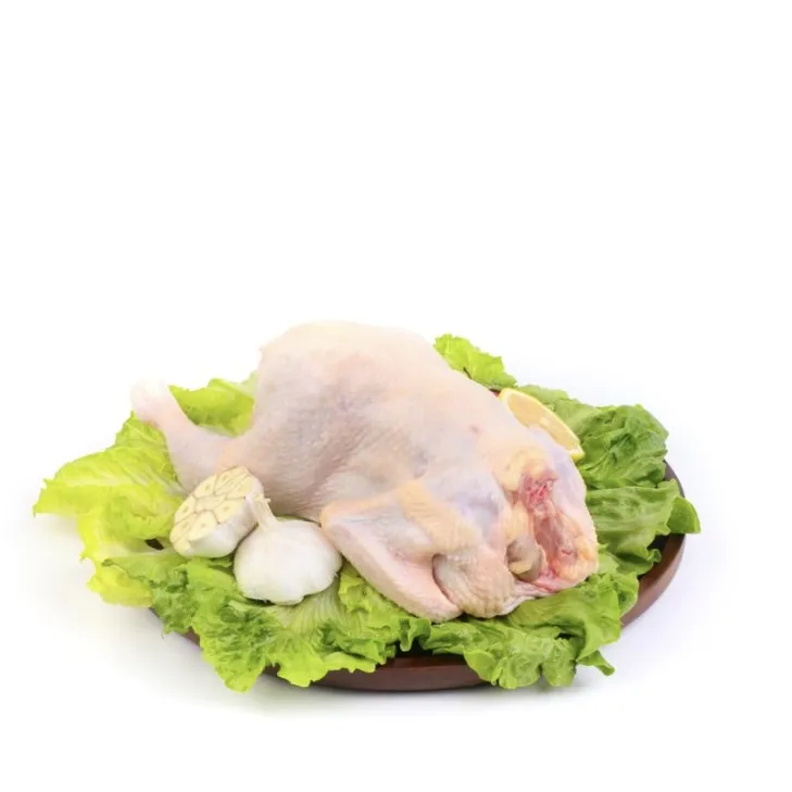 High Protein Nutritious Quick OEM Custom Packaging Wholesale Price Frozen Whole Chicken