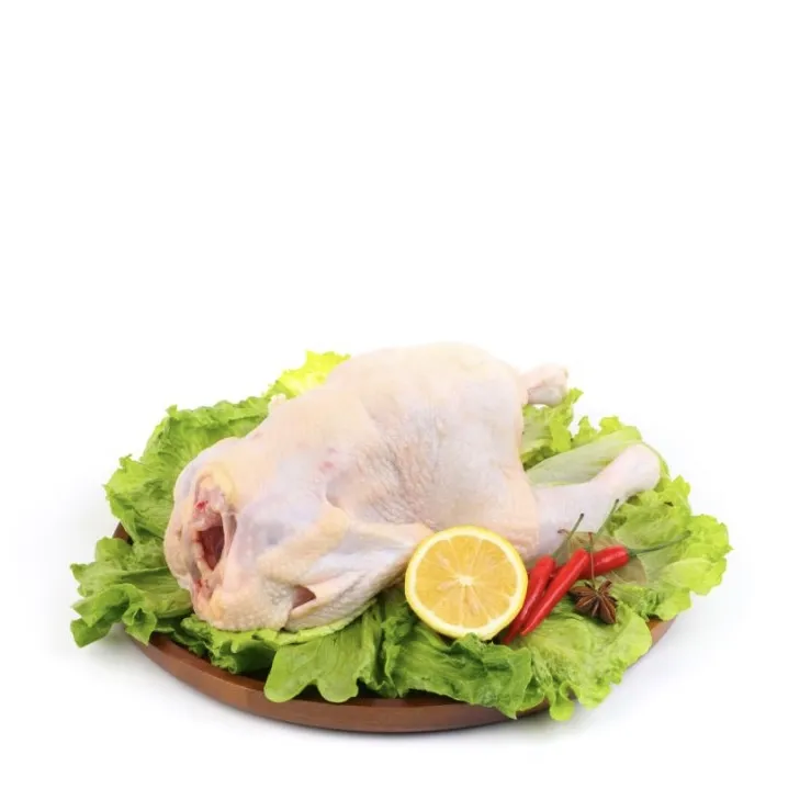 High Protein Nutritious Quick OEM Custom Packaging Wholesale Price Frozen Whole Chicken