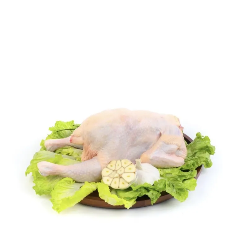 High Protein Nutritious Quick OEM Custom Packaging Wholesale Price Frozen Whole Chicken