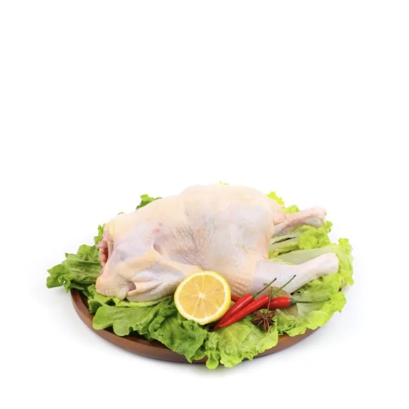 High Protein Nutritious Quick OEM Custom Packaging Wholesale Price Frozen Whole Chicken