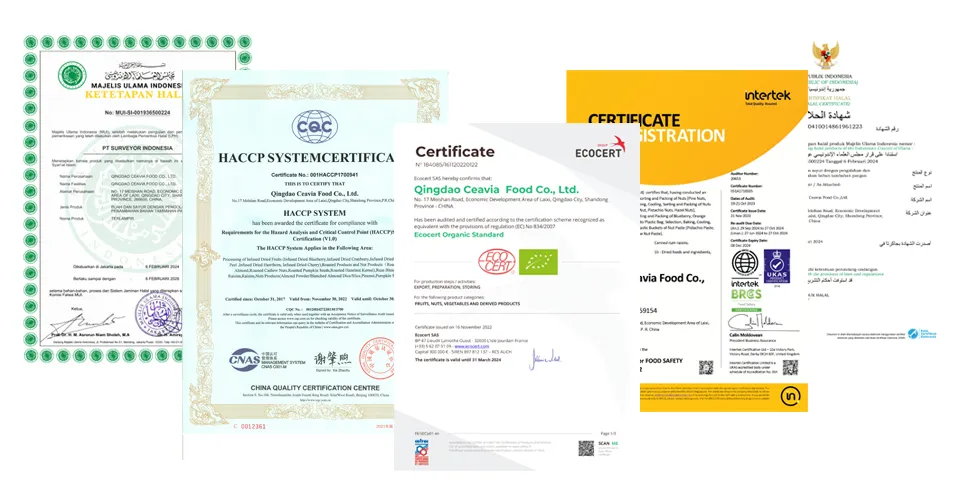 Chinese New Crop Pinenuts Kernels Pinus Koraiensis