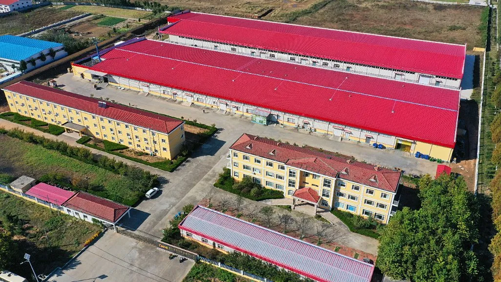 Chinese New Crop Pinenuts Kernels Pinus Koraiensis