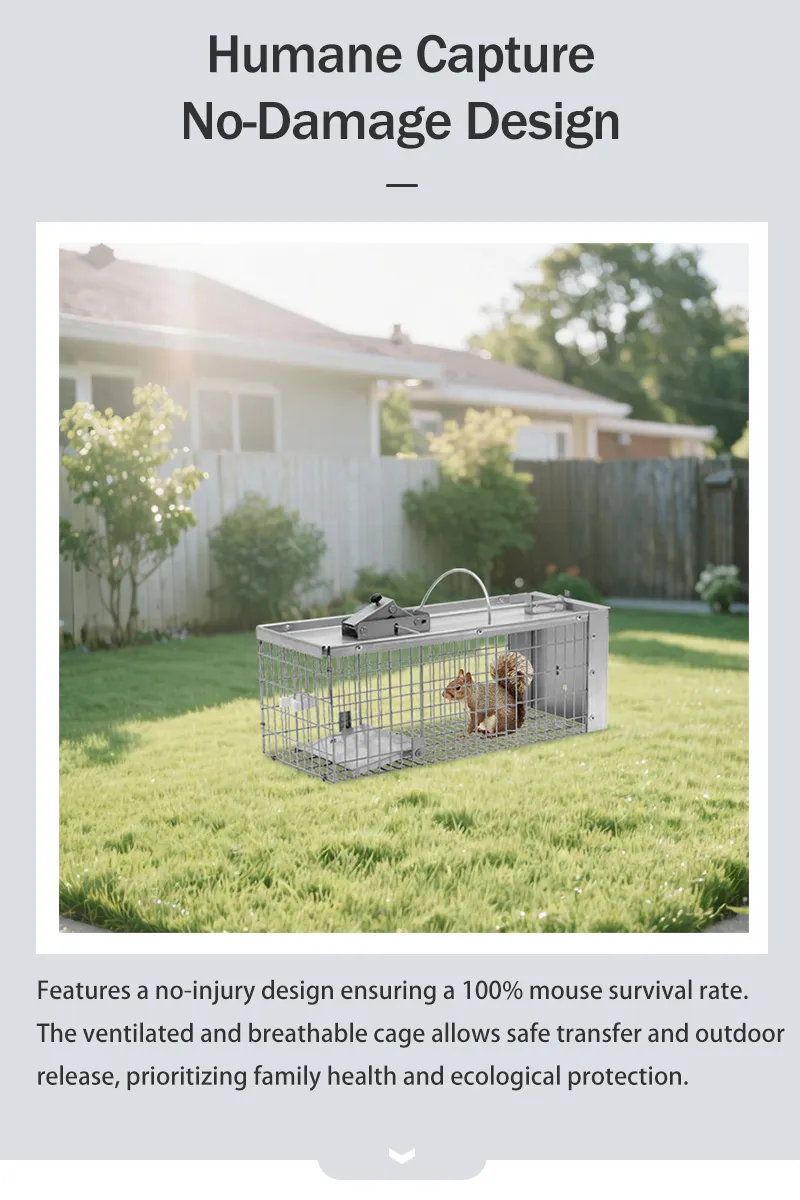 Eco-Friendly Humane Metal Rat Squirrel Trap Cage for Safe Rodent Control