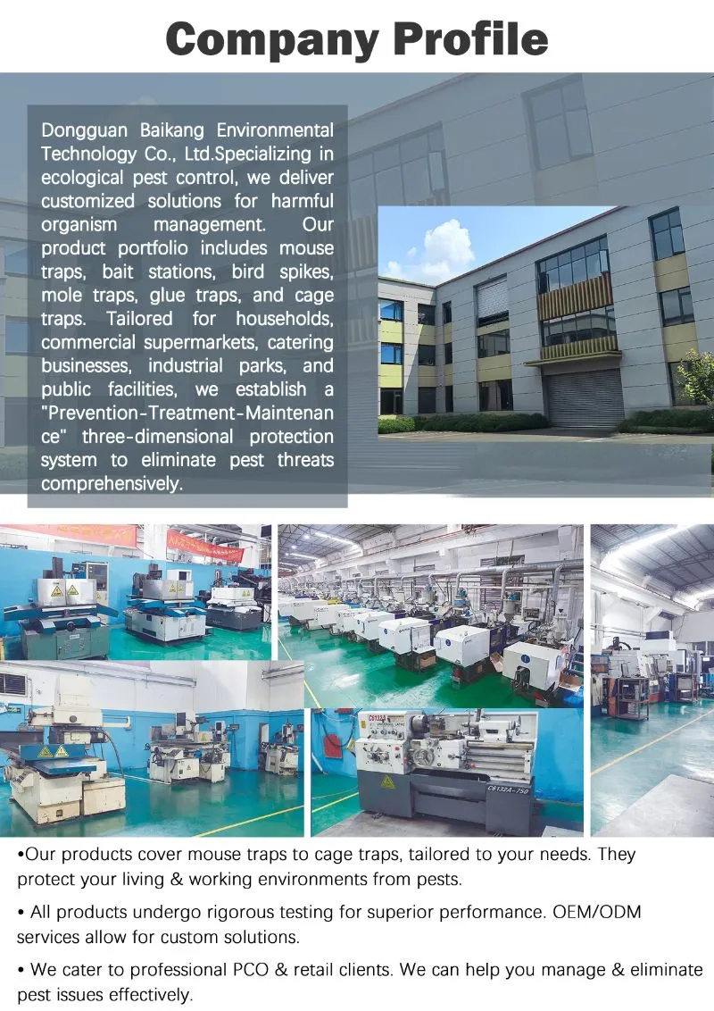 Eco-Friendly Humane Metal Rat Squirrel Trap Cage for Safe Rodent Control