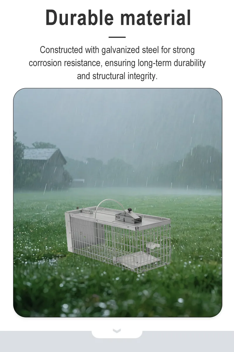 Eco-Friendly Humane Metal Rat Squirrel Trap Cage for Safe Rodent Control