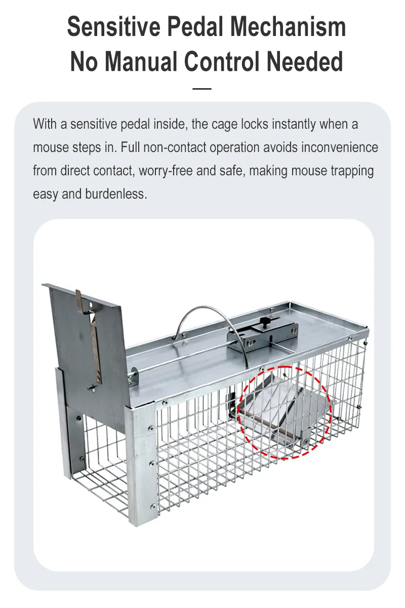 Eco-Friendly Humane Metal Rat Squirrel Trap Cage for Safe Rodent Control