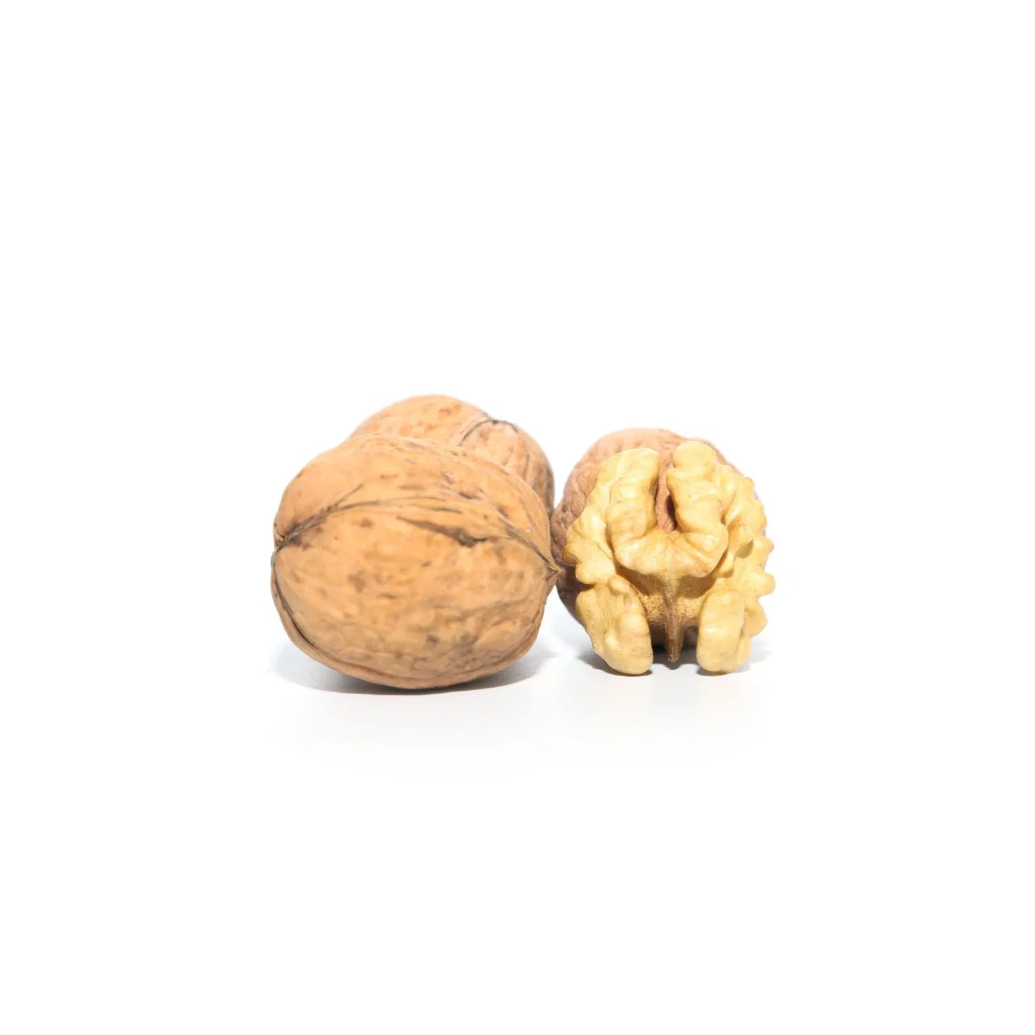 Long-Lasting Energy-Sustaining Nutritious Walnuts Xinjiang 185 Walnuts Kernels