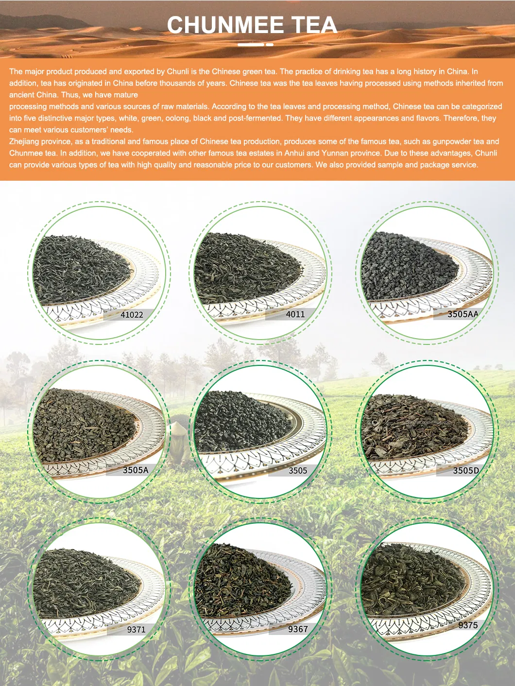 Chinese Organic Green Tea China High Quality Green Tea Gunpowder Tea 9502 Herbal Tea Manufacturer with Free Sample for Uzbekistan Kazakhstan Kyrgyzstan Markets