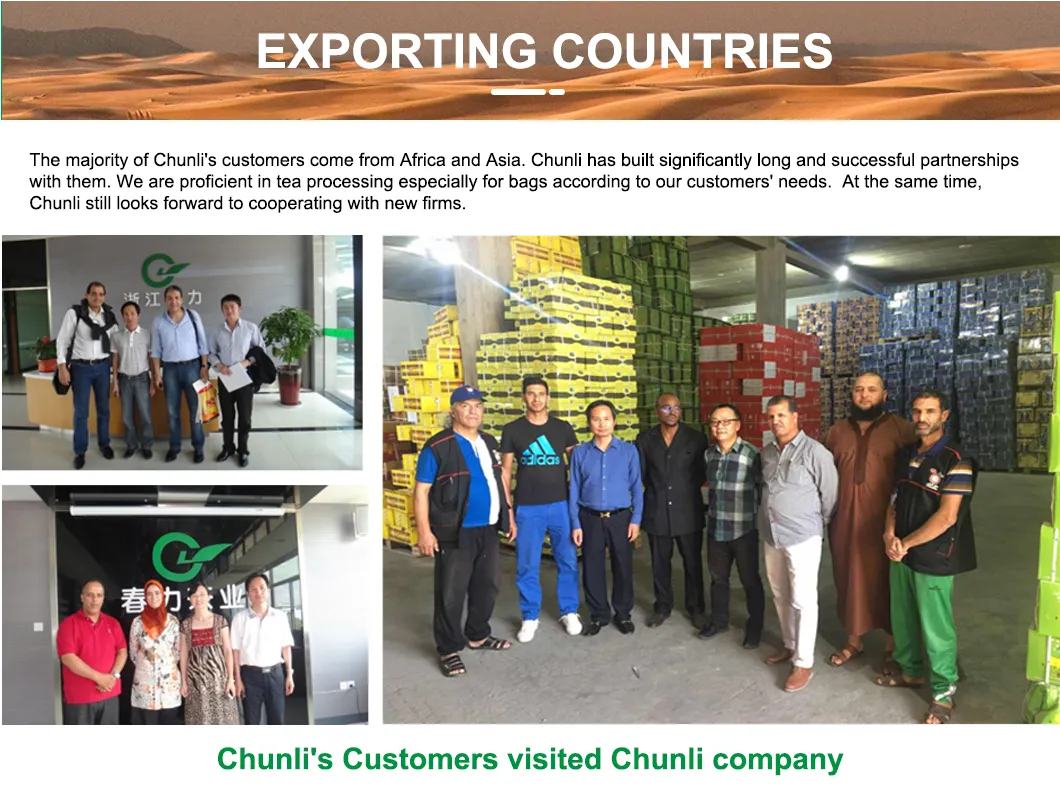 Chinese Organic Green Tea China High Quality Green Tea Gunpowder Tea 9502 Herbal Tea Manufacturer with Free Sample for Uzbekistan Kazakhstan Kyrgyzstan Markets