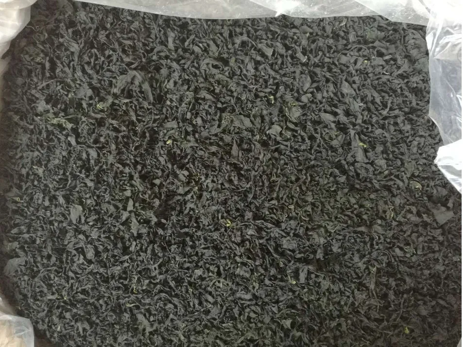 Factory Supplier High Quality Extra Selected Natural Organic Dried Wakame Leaves Cut S/M/L Size 10kg OEM Package