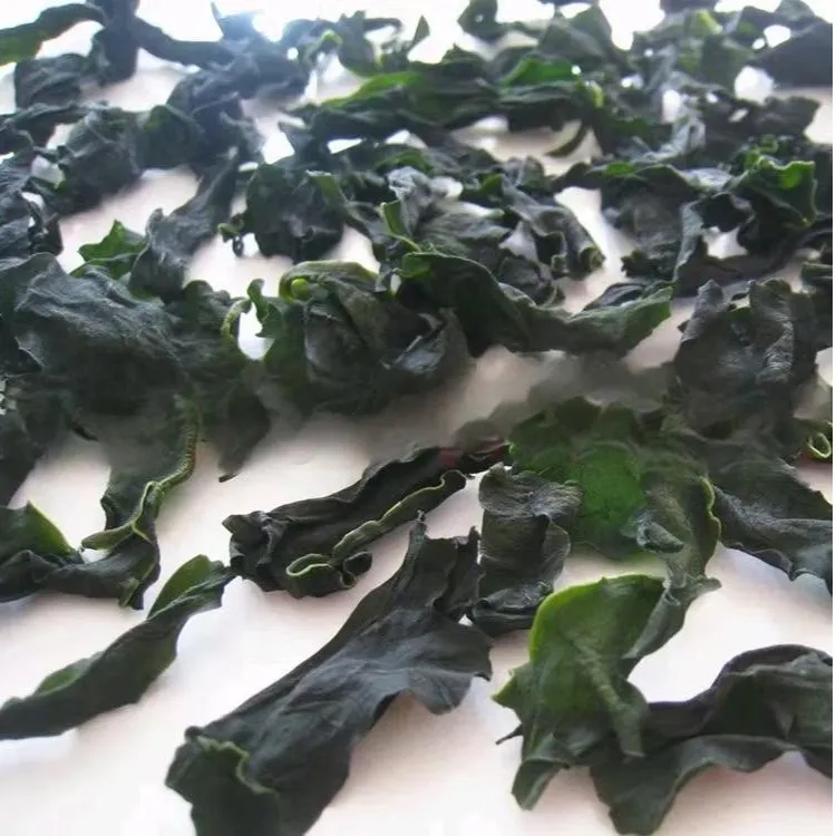 Factory Supplier High Quality Extra Selected Natural Organic Dried Wakame Leaves Cut S/M/L Size 10kg OEM Package