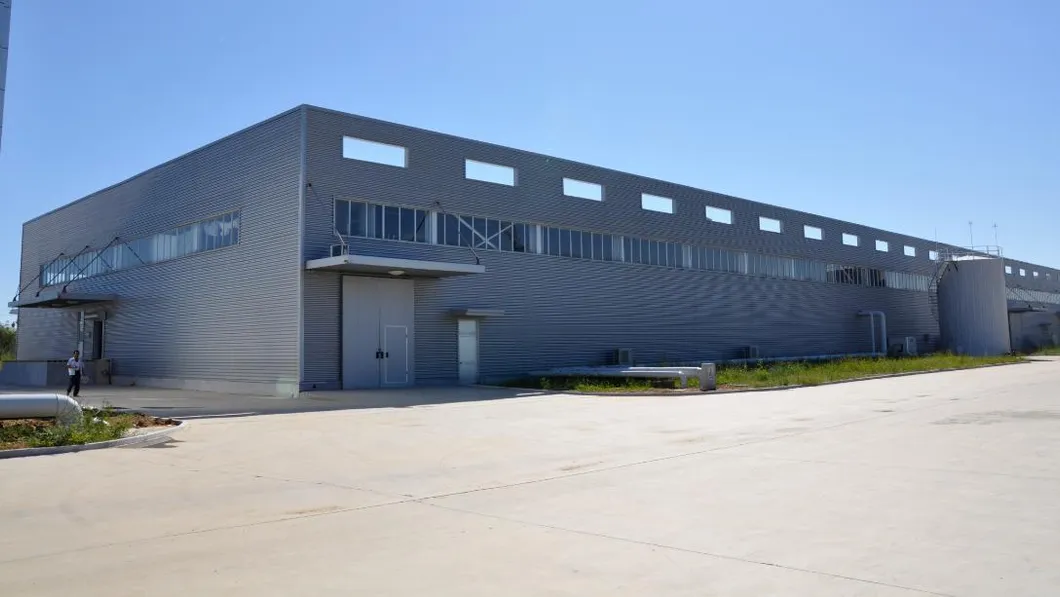 Ready to Eat Instant Noodle Mushrooms Beef Instant Noodles Ramen Noodles