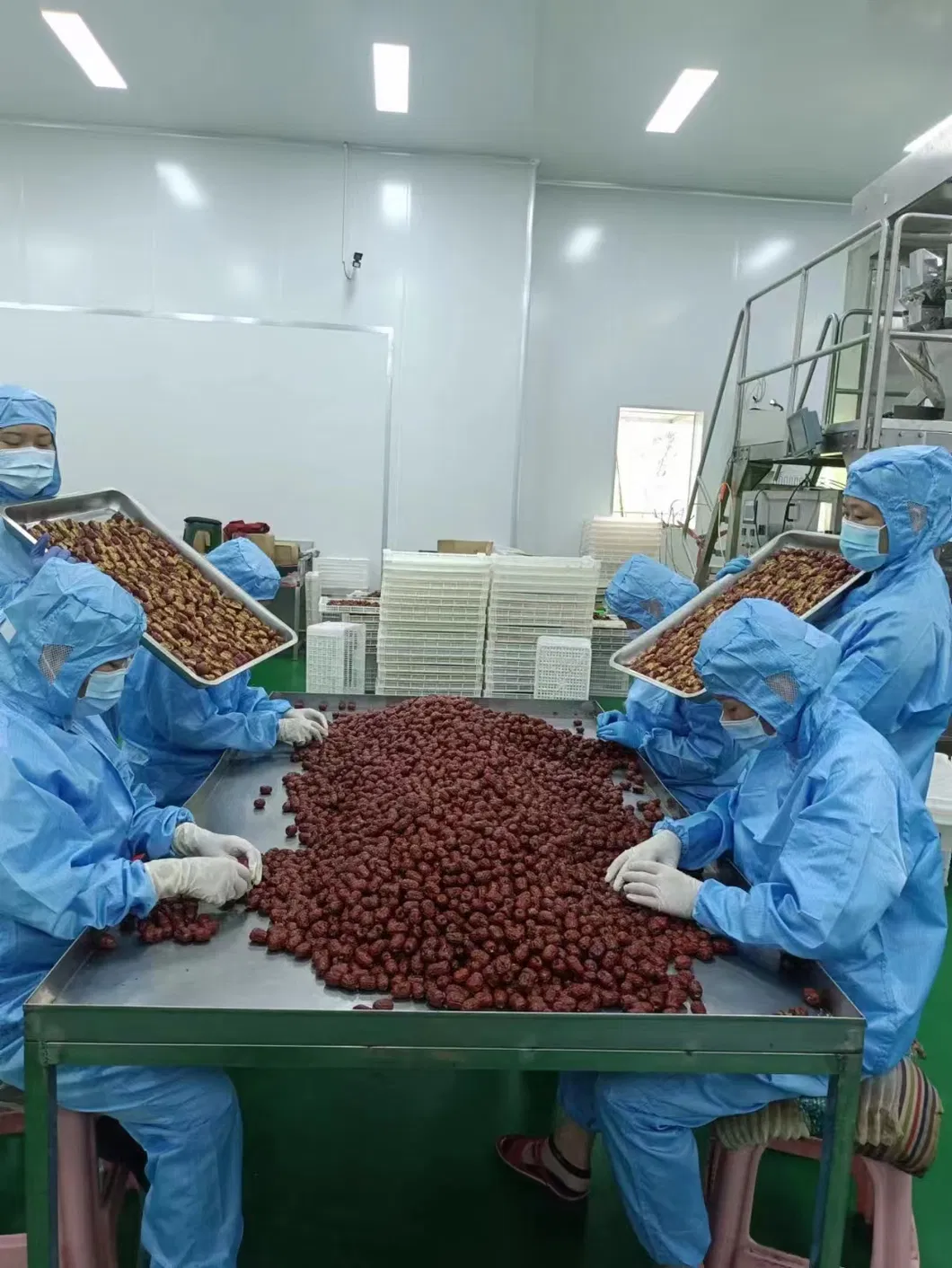 Made in China Toy Candy Plums