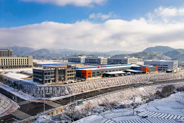 Juicy Organic Loquat Pear Can Moistening Respiratory Tract Soothing Cough