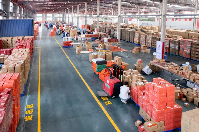 Juicy Organic Loquat Pear Can Moistening Respiratory Tract Soothing Cough