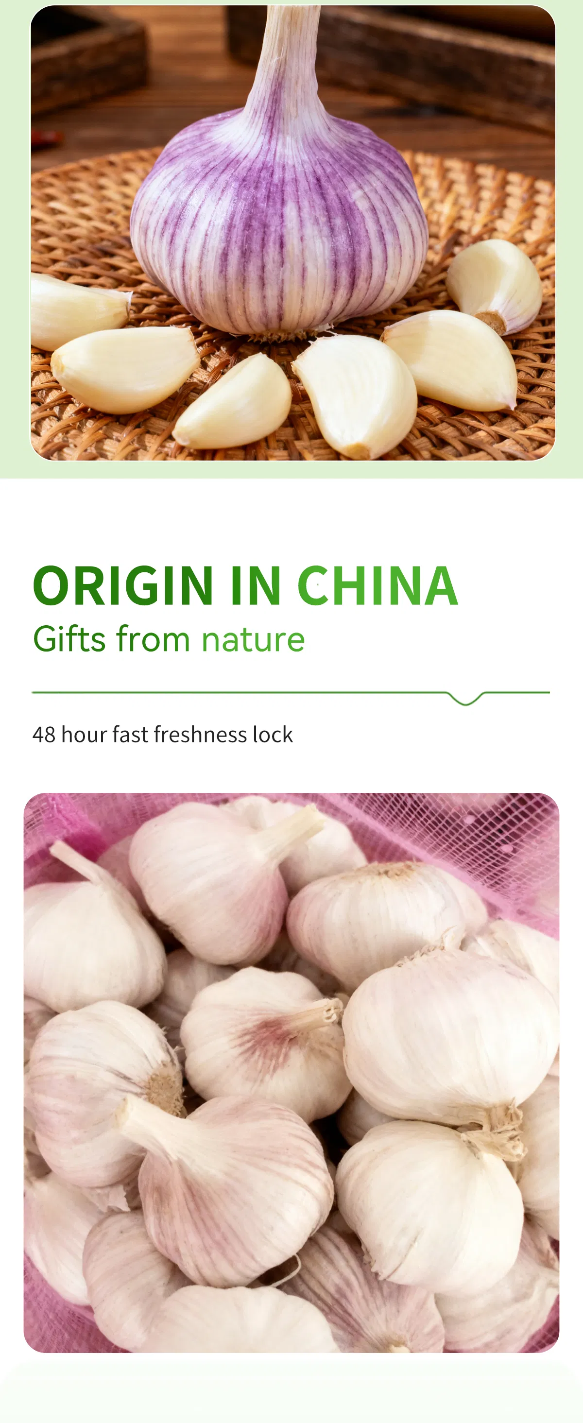High Quality Garlic Organic Crops Standardized Processing