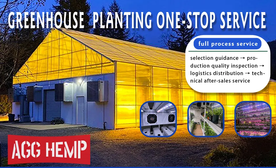 Agg High Efficient Tomato Prefab Green House Venlo Hollow PC Board Greenhouse