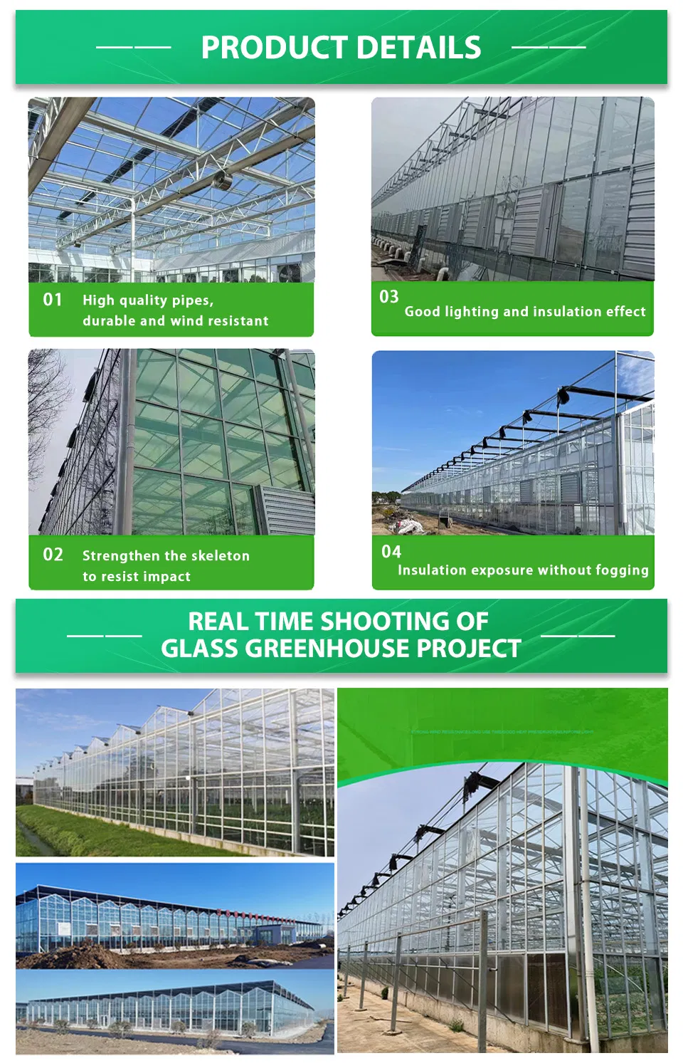 Agg High Efficient Tomato Prefab Green House Venlo Hollow PC Board Greenhouse