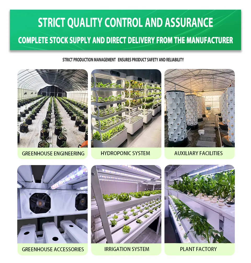 Agg High Efficient Tomato Prefab Green House Venlo Hollow PC Board Greenhouse