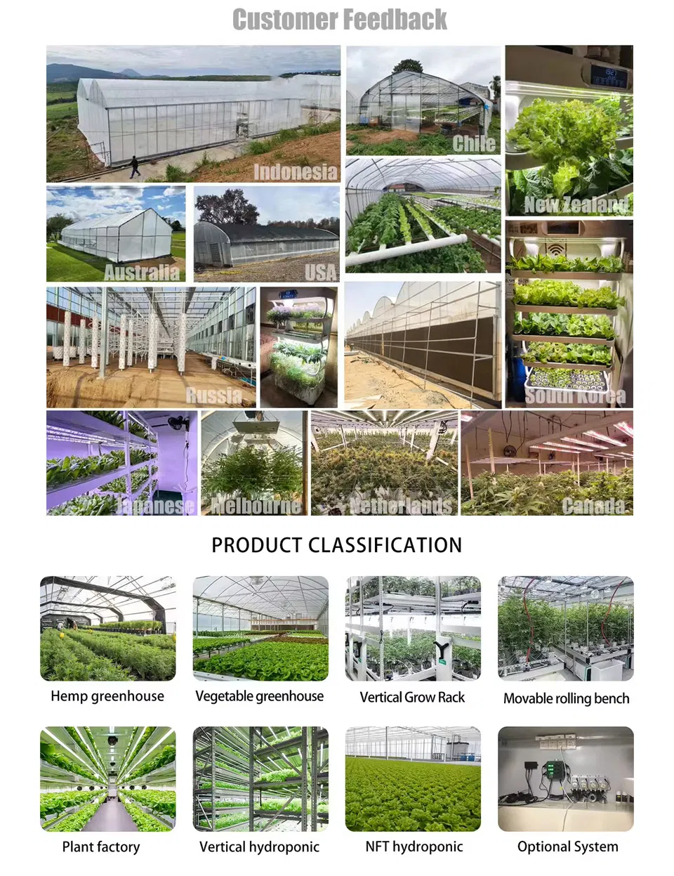 Agg High Efficient Tomato Prefab Green House Venlo Hollow PC Board Greenhouse