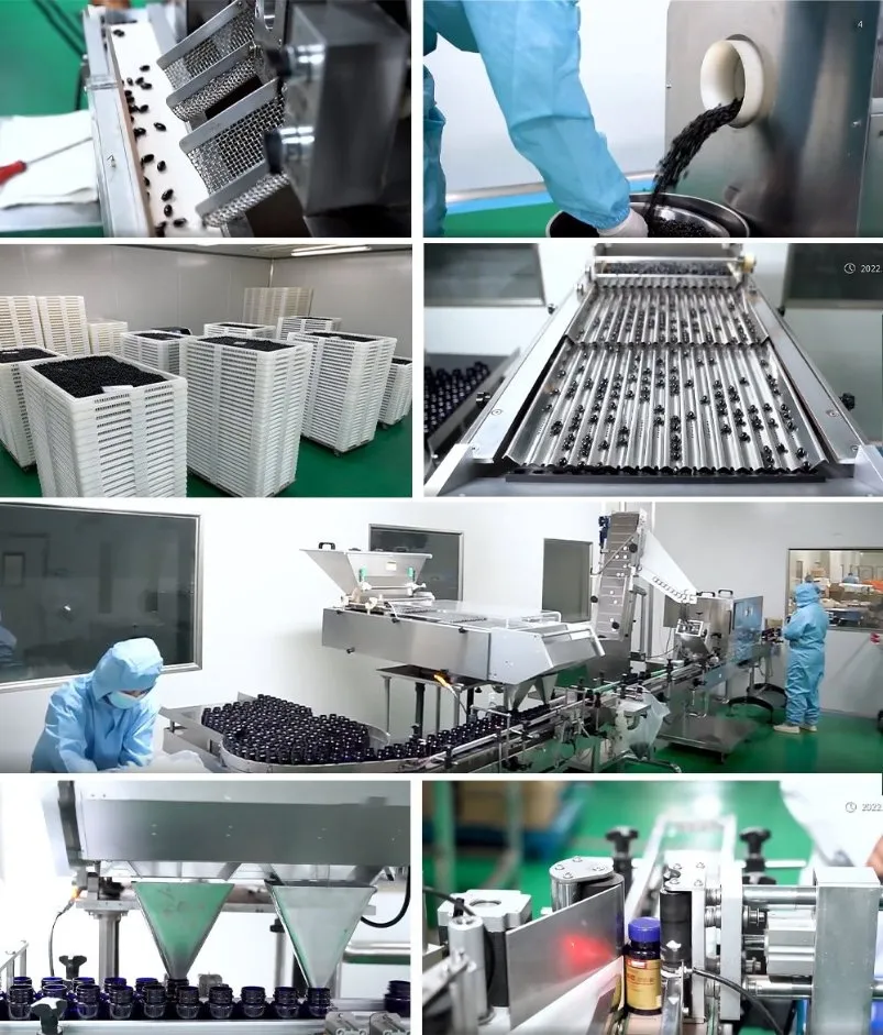 Beehall Health Food Supplier Hot Sale Good Quality Propolis Capsules