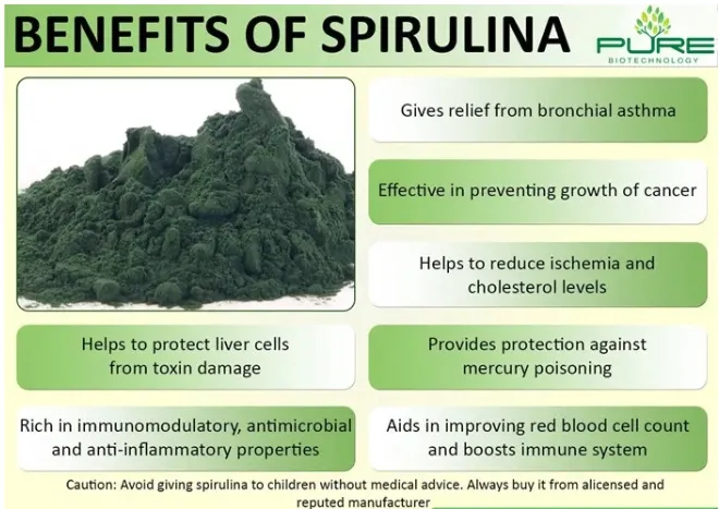 Pure Organic Spirulina Powder - Your Ultimate Health Booster