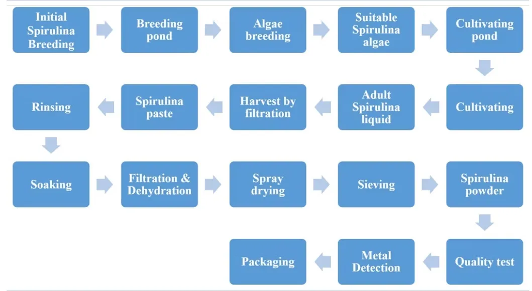 Pure Organic Spirulina Powder - Your Ultimate Health Booster