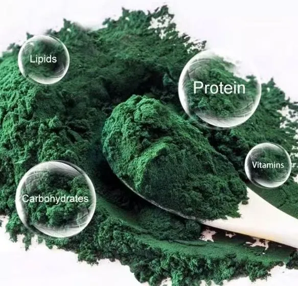 Pure Organic Spirulina Powder - Your Ultimate Health Booster