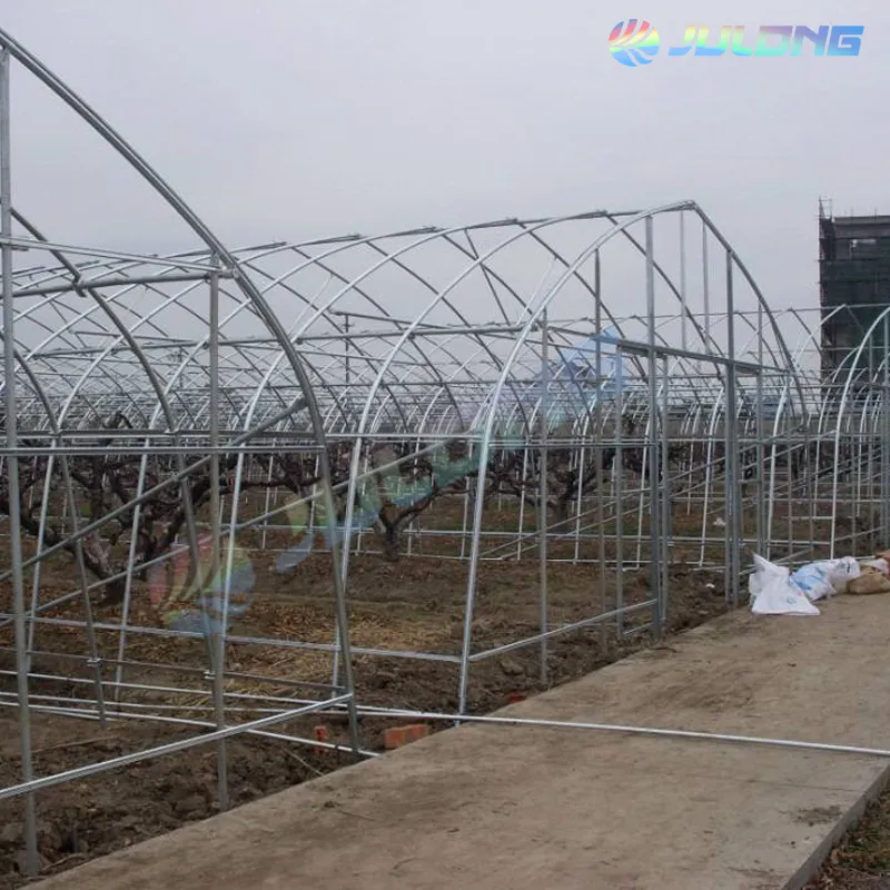 Galvanized Steel Frame Single Span PE Film Greenhouse for Agriculture Use