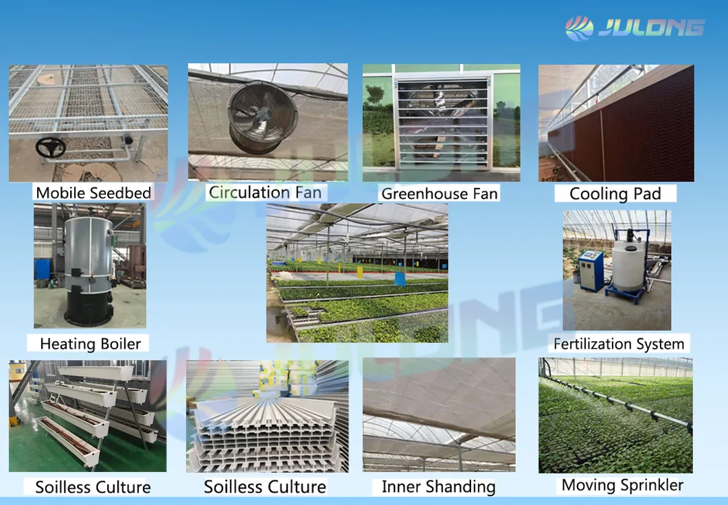 Galvanized Steel Frame Single Span PE Film Greenhouse for Agriculture Use