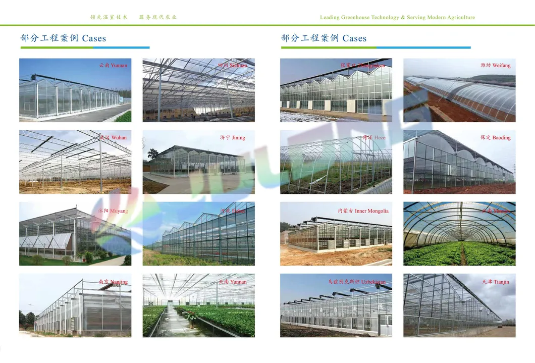 Galvanized Steel Frame Single Span PE Film Greenhouse for Agriculture Use