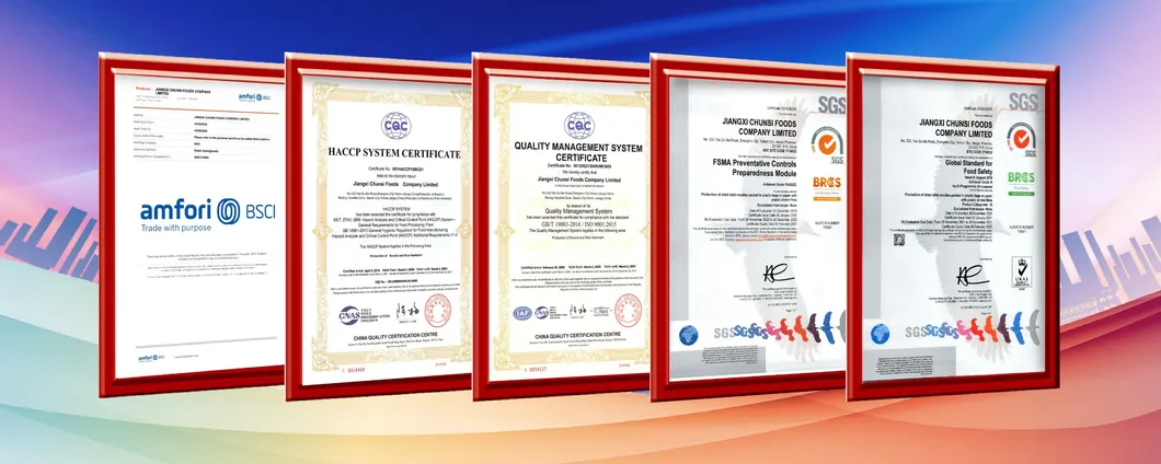 Family-Size Package/Instant Noodles/Fast Food Chunsi Lanzhou Ramen Noodles