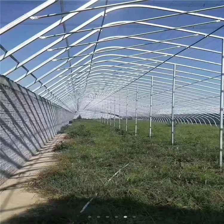 Corrosion-Resistant Customization Energy-Saving Tunnel Greenhouse with High Light Transmission
