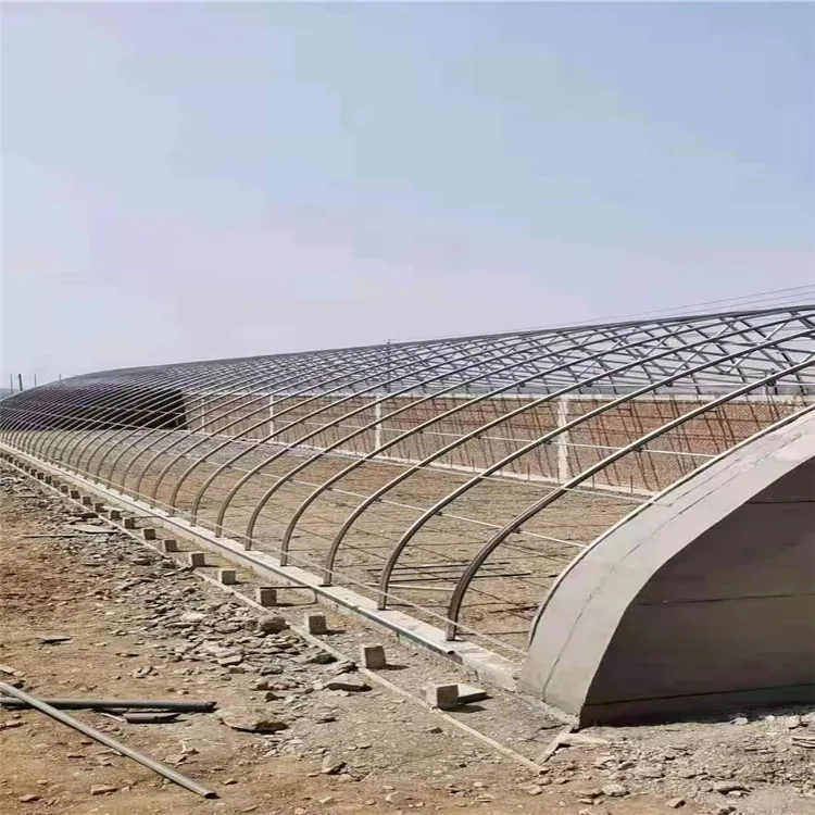 Corrosion-Resistant Customization Energy-Saving Tunnel Greenhouse with High Light Transmission