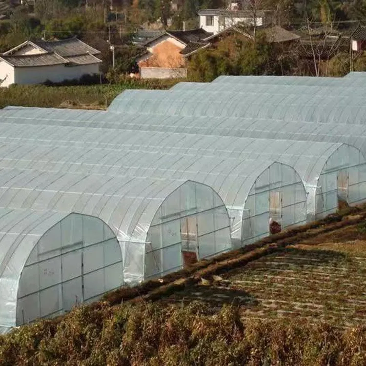 Corrosion-Resistant Customization Energy-Saving Tunnel Greenhouse with High Light Transmission