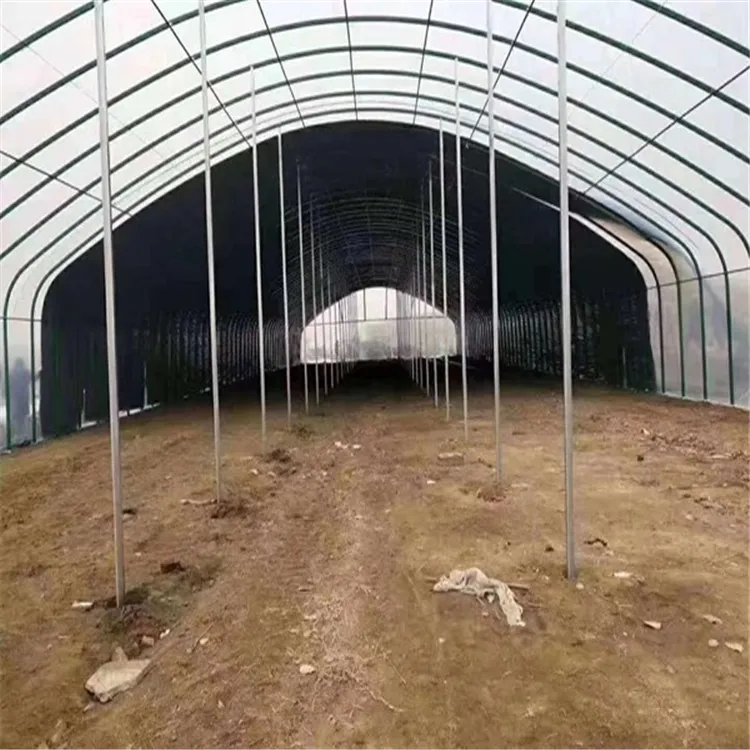 Corrosion-Resistant Customization Energy-Saving Tunnel Greenhouse with High Light Transmission