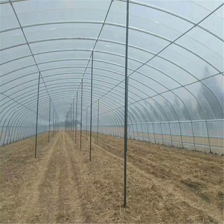 Corrosion-Resistant Customization Energy-Saving Tunnel Greenhouse with High Light Transmission