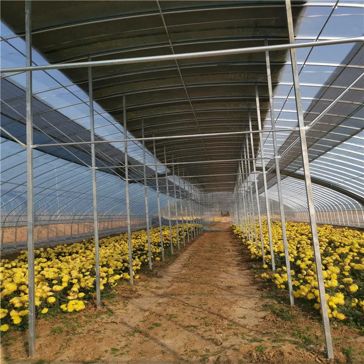 Corrosion-Resistant Customization Energy-Saving Tunnel Greenhouse with High Light Transmission