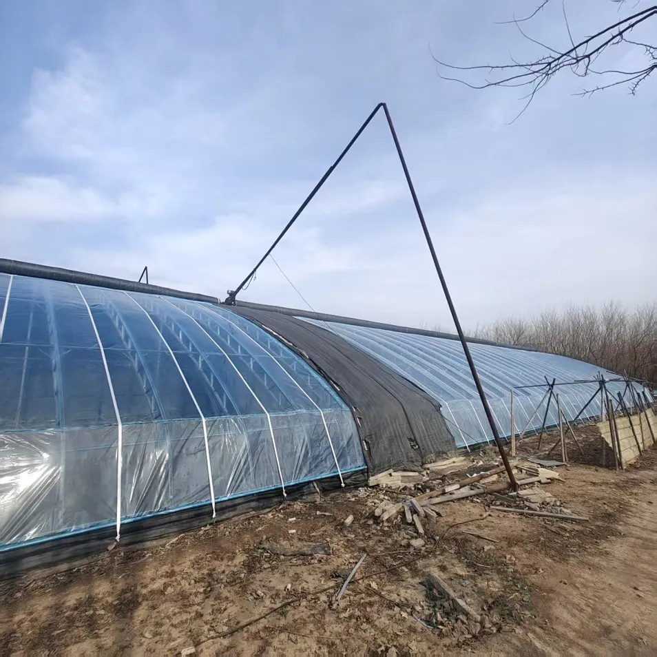 Corrosion-Resistant Customization Energy-Saving Tunnel Greenhouse with High Light Transmission